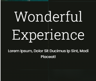 Travel Website